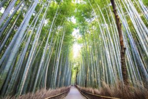 Ovo je najljubaznija zemlja na svetu NAJNOVIJE VESTI